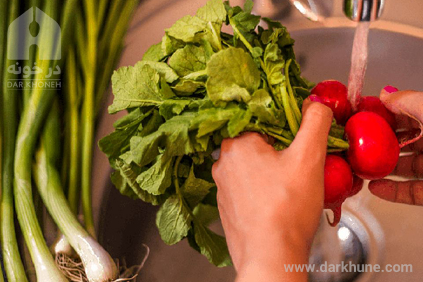 تولید مواد غذایی خانگی | اهمیت شستن سبزیجات